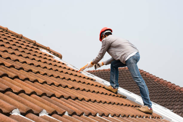 Best Skylight Installation and Repair  in Pond Creek, OK